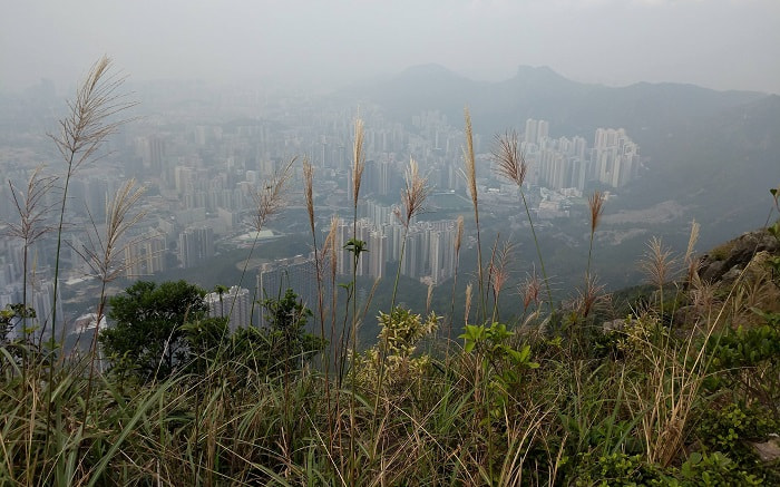 Hong Kong