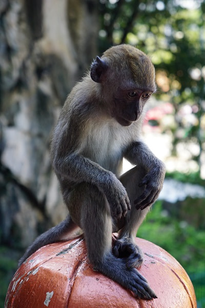 Batu Caves