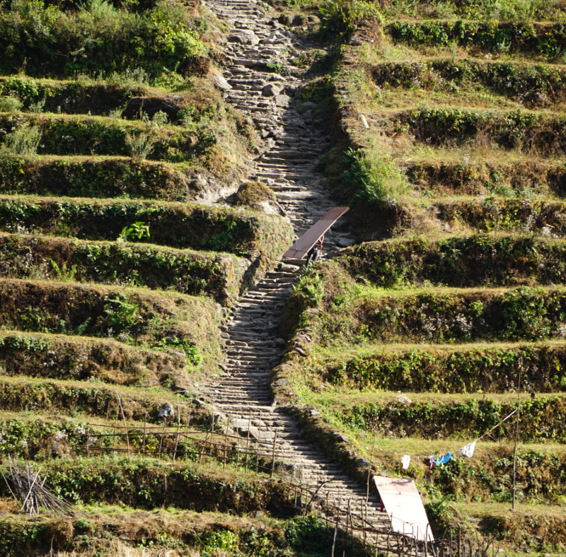 Construction Porters - ABC Trek Day 6