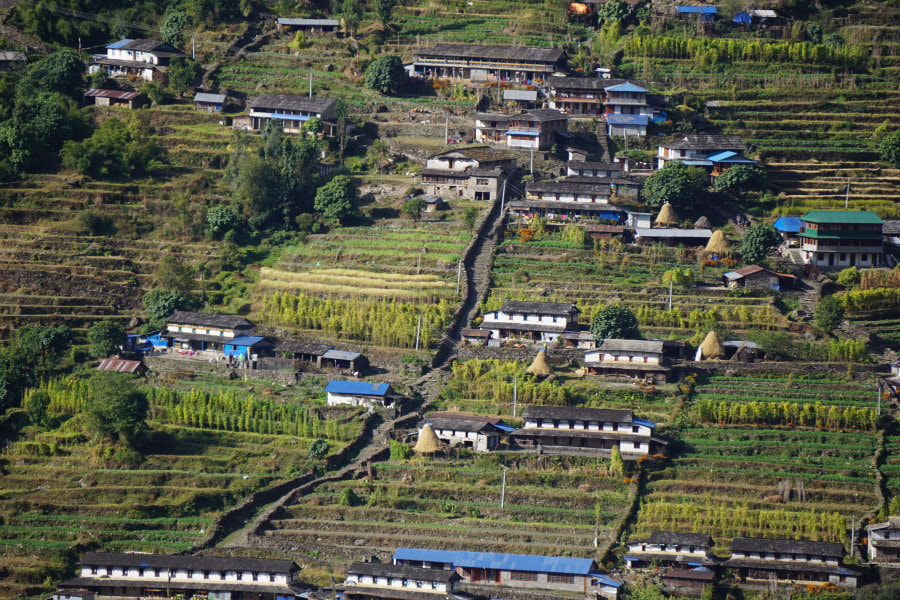 Terraces - ABC Trek Day 6