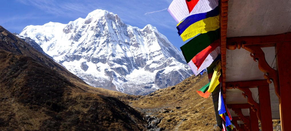 Machhapuchhre Base Camp - ABC Trek Day 4 Lunch