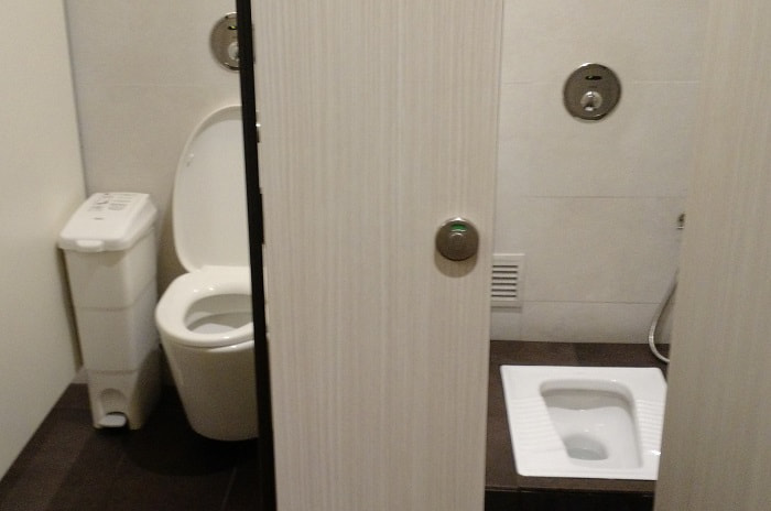 Toilet Styles