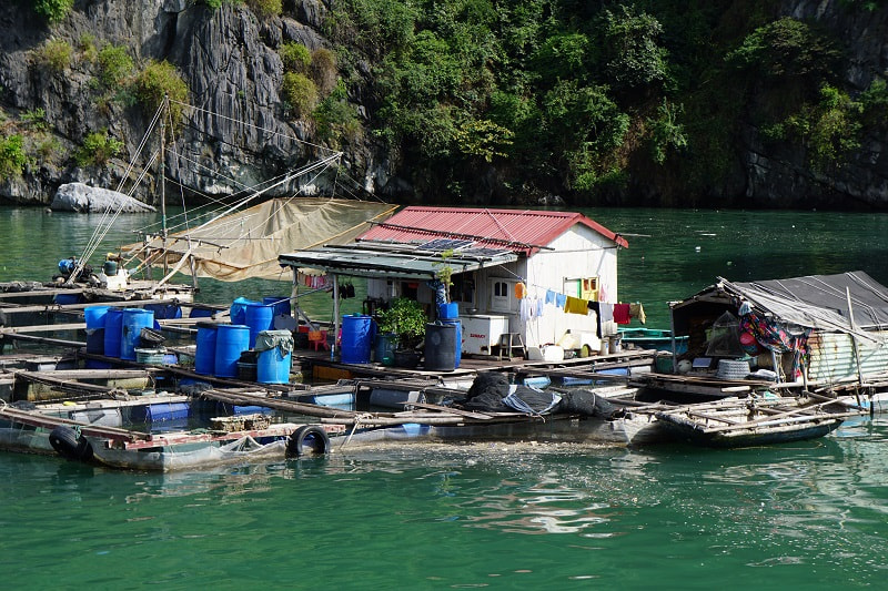 Ha Long Bay