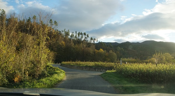 Cinque Terre Roads