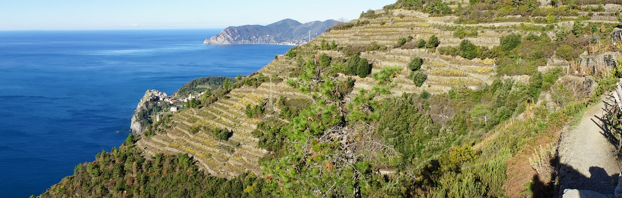 Corniglia to Manarola Rim Trail