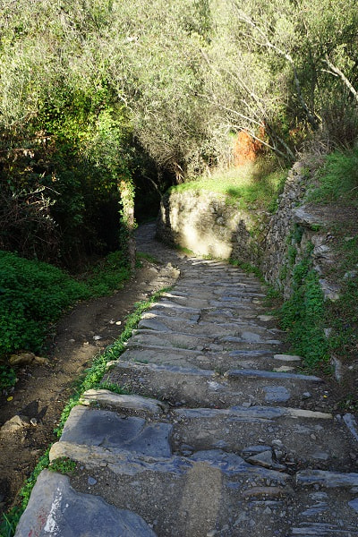 Corniglia to Vernazza Trail