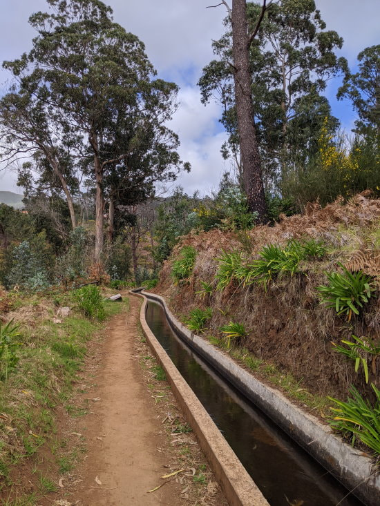 Madeira - Levadas