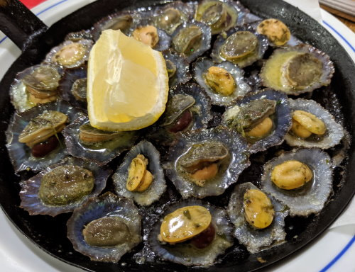 Madeira - Lapas - Limpets