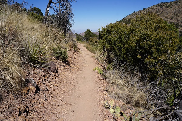 Boot Canyon Trail