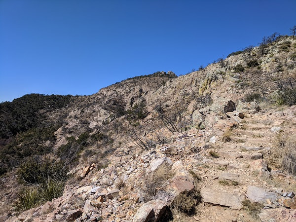 Emory Peak Trail