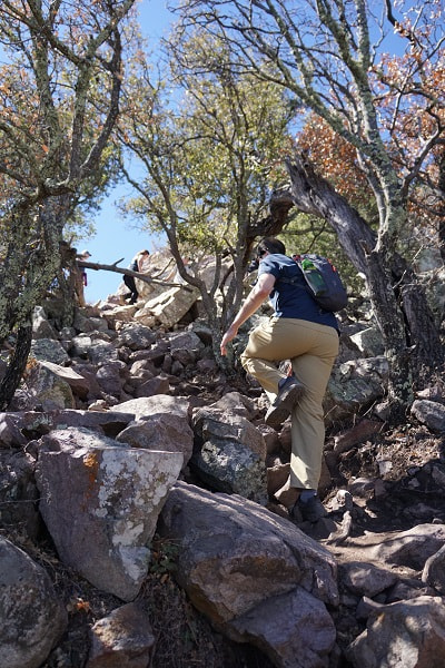 Emory Peak Trail