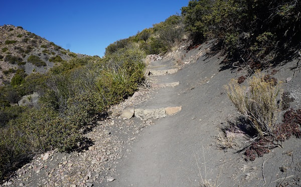 Laguna Meadow Trail