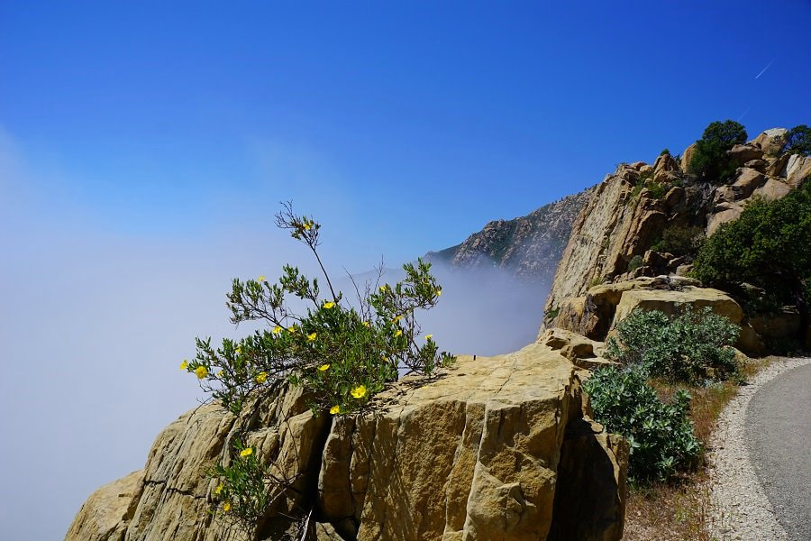 Santa Barbara Rattlesnake Canyon