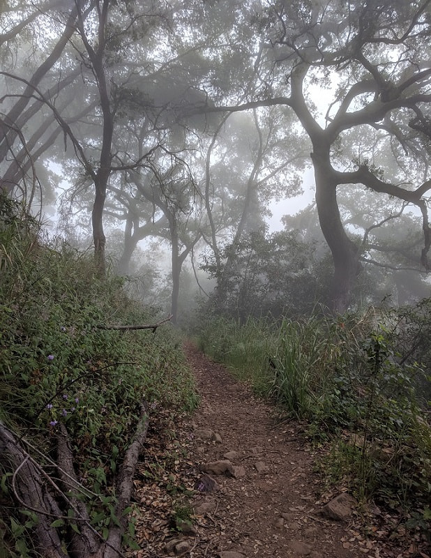 Santa Barbara Rattlesnake Canyon