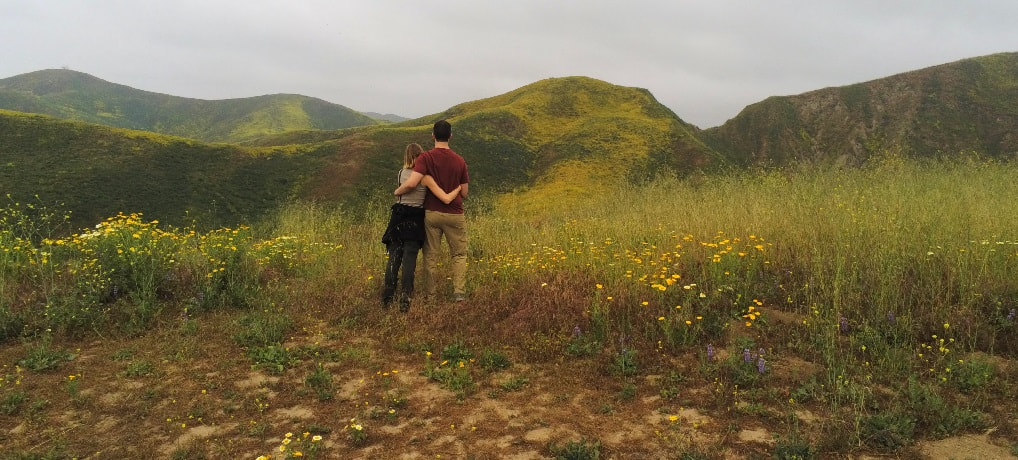 California in Bloom