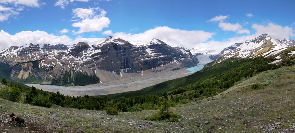 9 Stunning Icefields Parkway Hikes