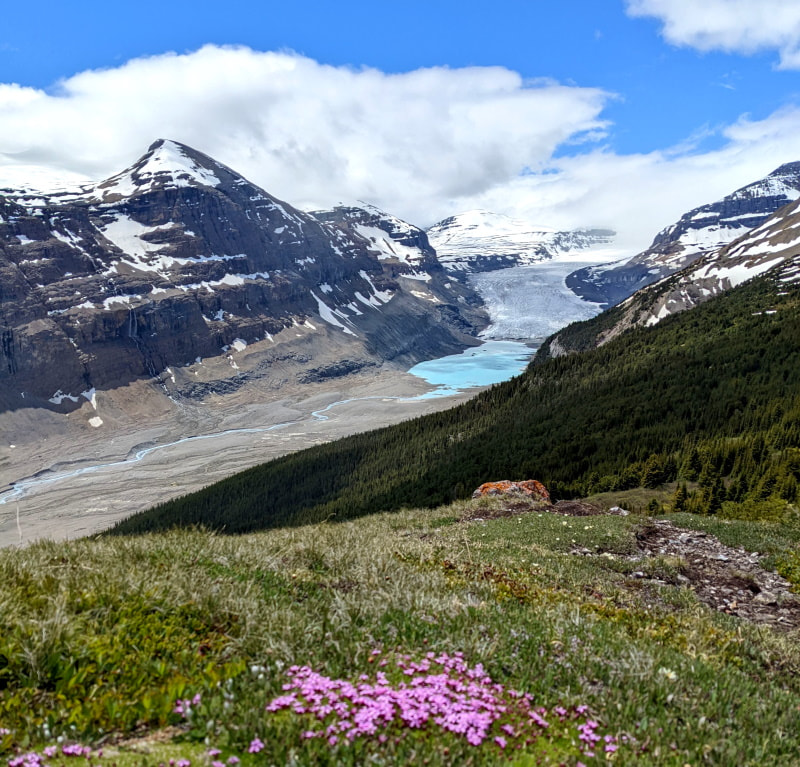 Parker Ridge - Glacier View