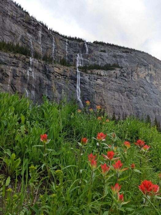 Weeping Wall Waterfalls - Viewpoint