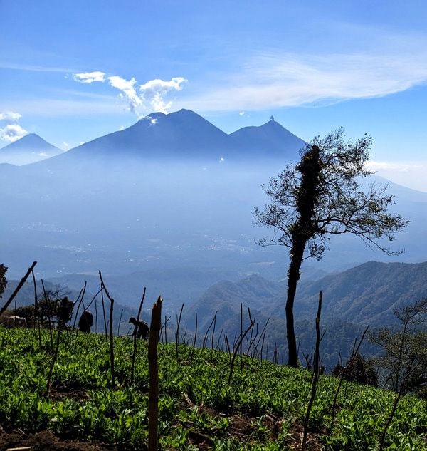 Guatemala Trek - Fuego Volcano