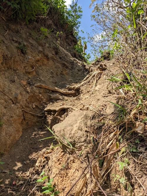 Guatemala Trek - Trail Small Scramble