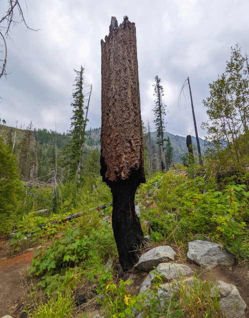 Eightmile Lake Trail - Washington State