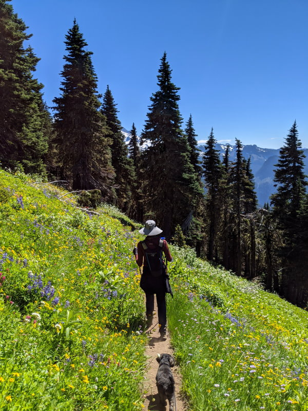 Bearhead Mountain Flowers - Washington State