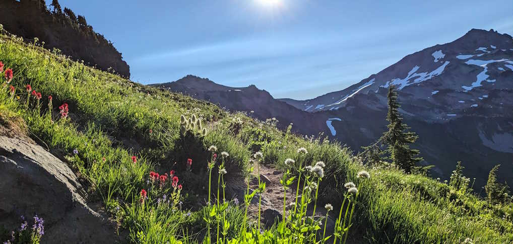 Goat Rocks Wilderness - Lilly Basin Trail headed towards Goat Lake- Washington State