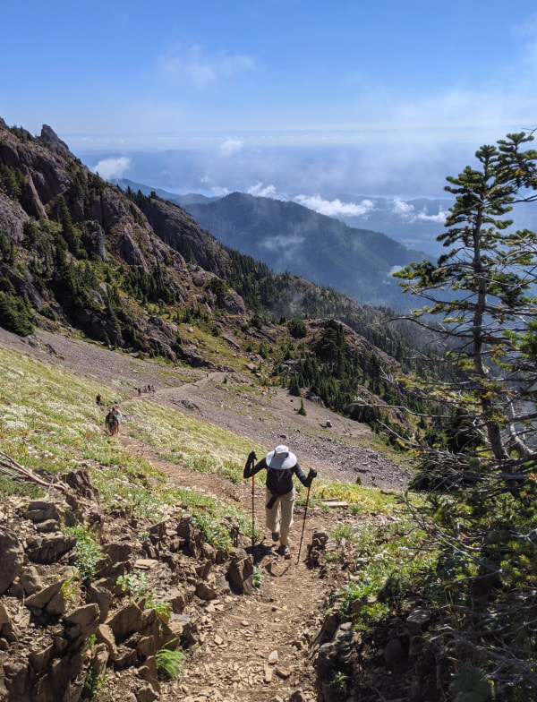 Mount Ellinor - Washington State