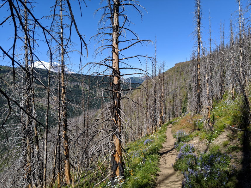 Norse Peak Trail