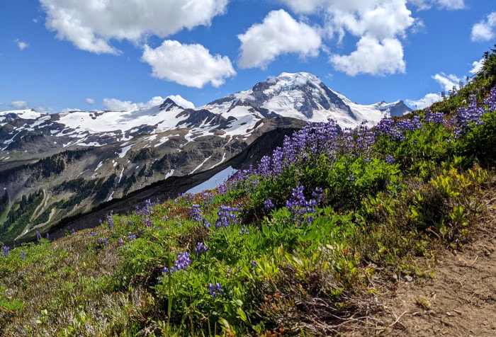 Skyline Divide at Mount Baker - PNW Highlights