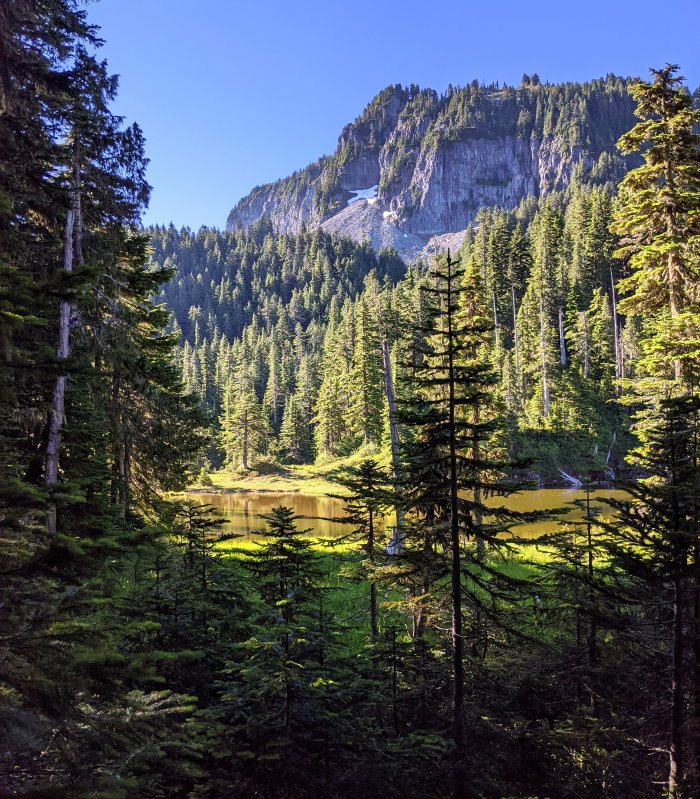 Summit Lake Trail Split - Washington State