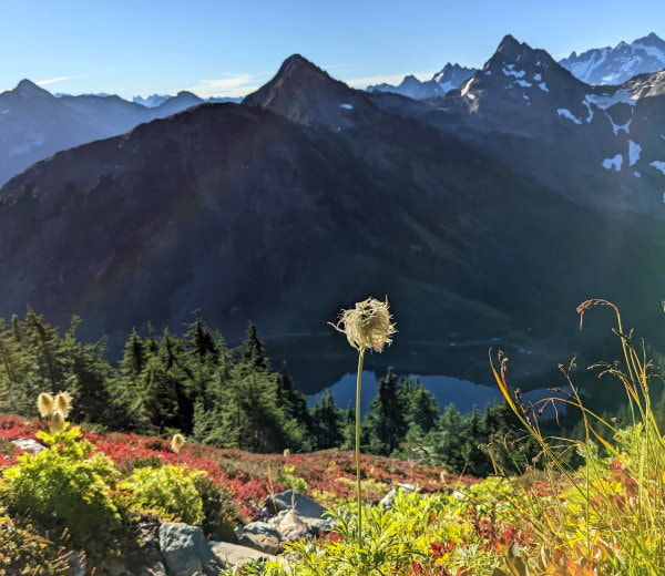 Twin Lakes Trail - Washington State