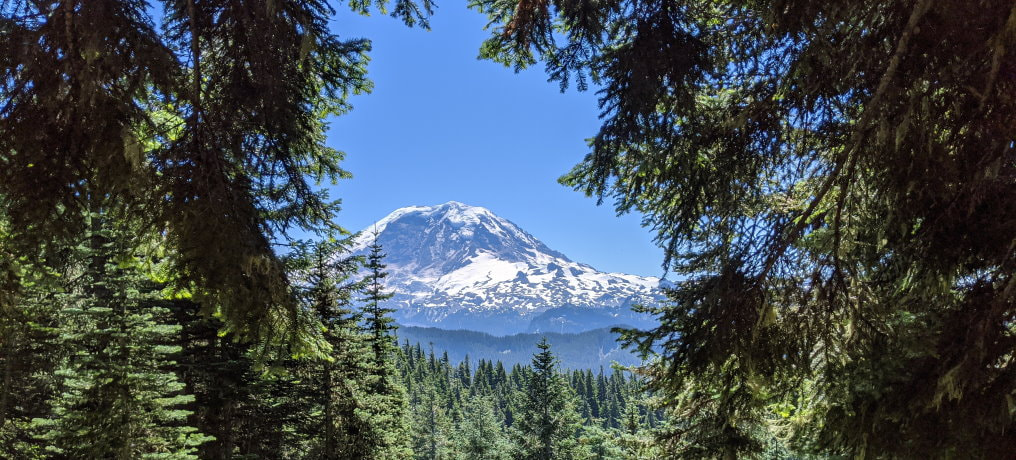 Mount Rainier View - Washington State