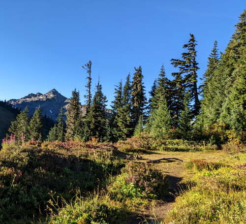 Winchester Campsite - Washington State