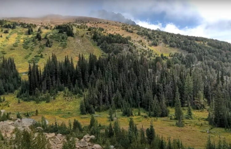 Windy Pass View - Washington State