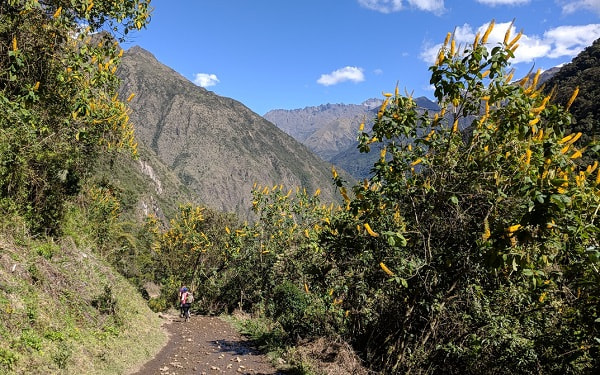 Salkantay