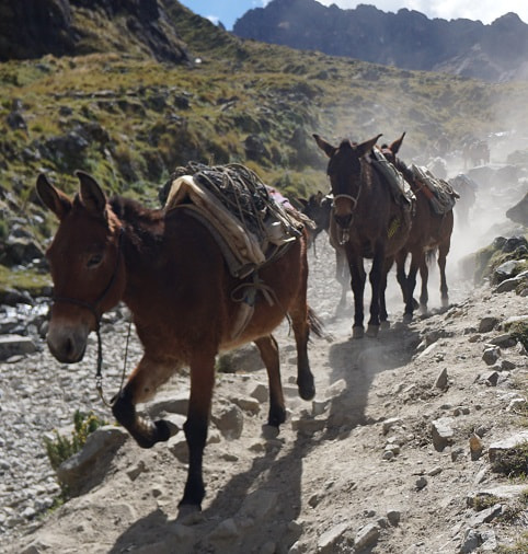 Salkantay